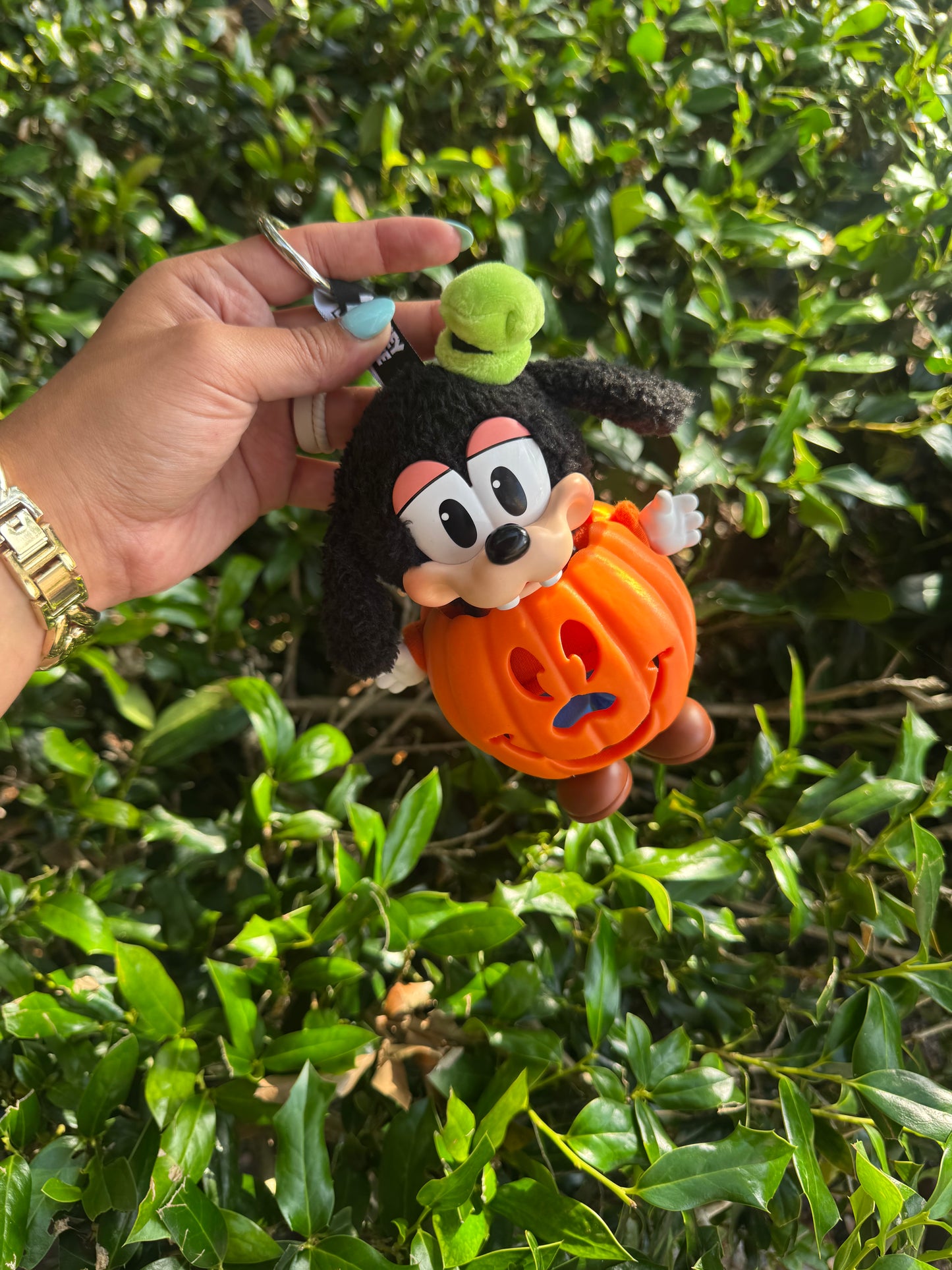 PUMPKIN 3D